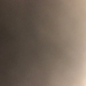 Meet your Posher, Raina